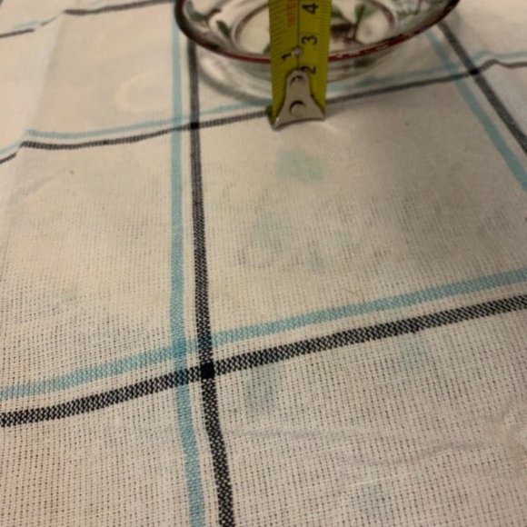 Cardinal & Holly on a Clear Glass Dish with Red Ri - Picture 5 of 11